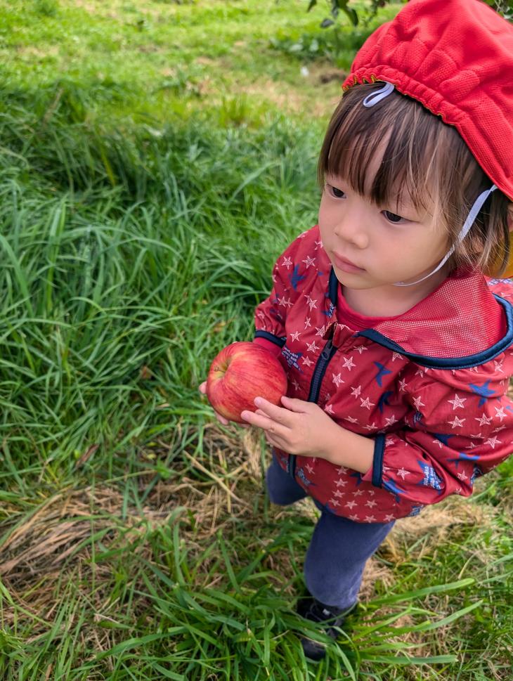 1・2歳児クラス【ガルテン】｜認定こども園 北見のぞみ幼稚園