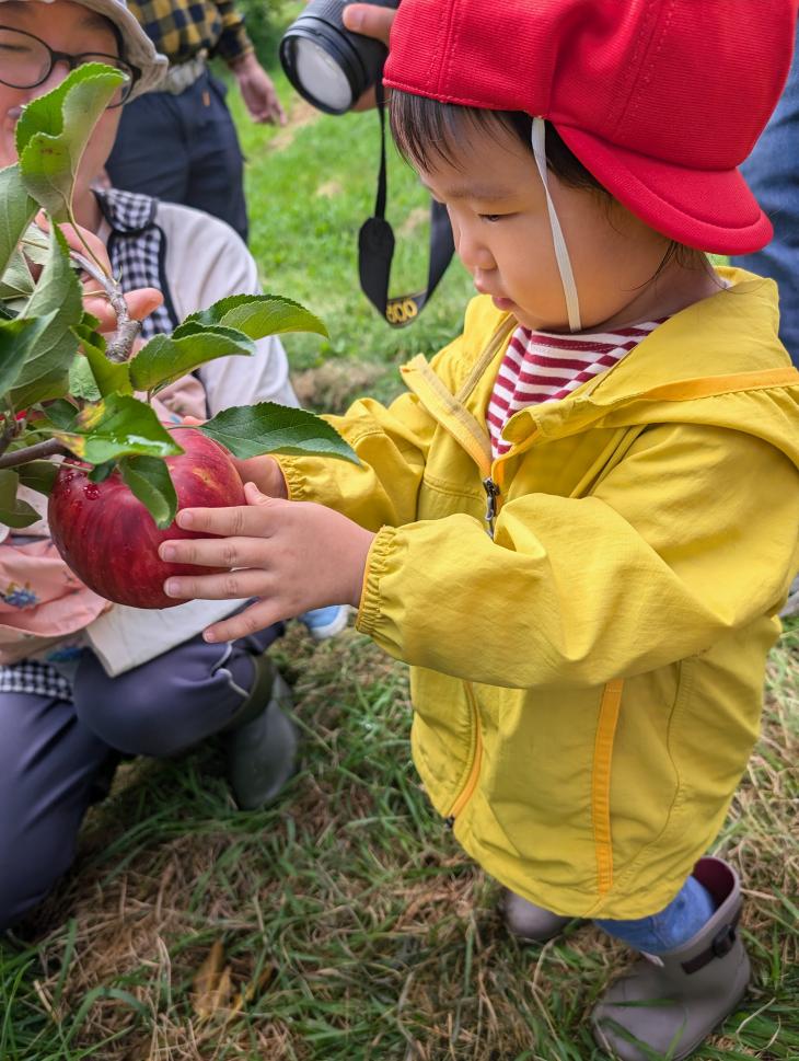 1・2歳児クラス【ガルテン】｜認定こども園 北見のぞみ幼稚園