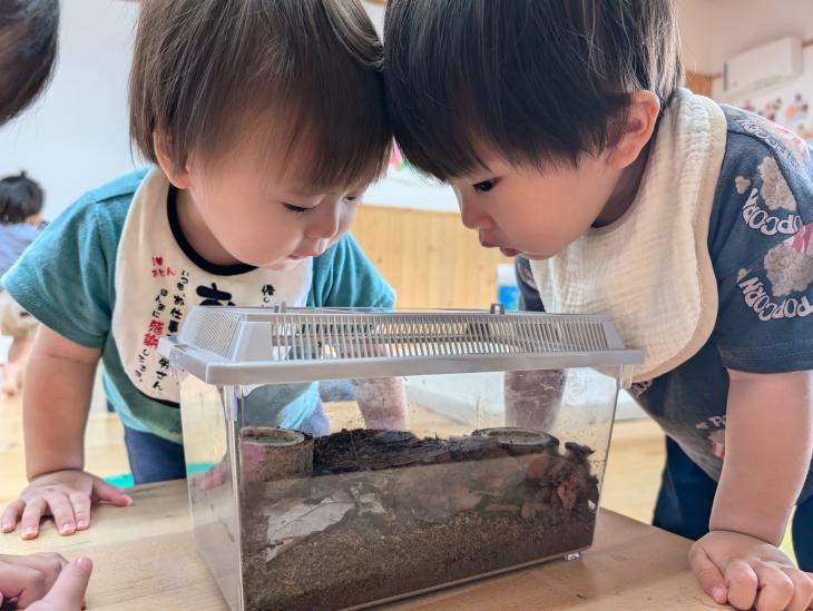 なんだ？（0・1歳児クラス）｜認定こども園 北見のぞみ幼稚園